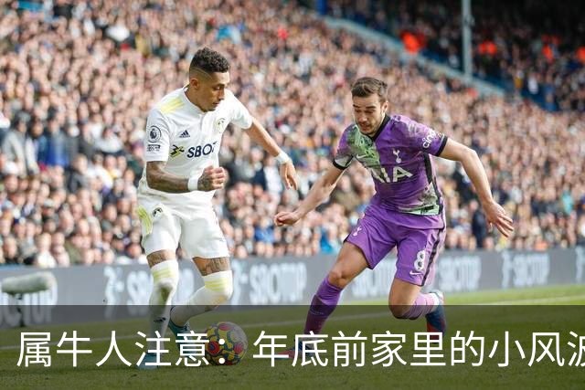 属牛人注意：年底前家里的小风波，其实是亲家关系升温的好兆头